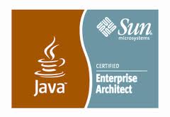 Sun Certified Enterprise Architect