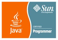 Sun Certified Java Programmer